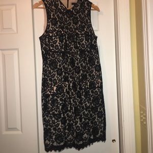 J.Crew Black Lace Lined Collared Dress